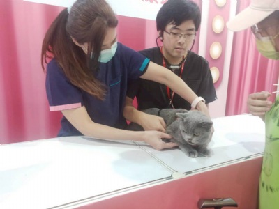 韓國(guó)喵美所